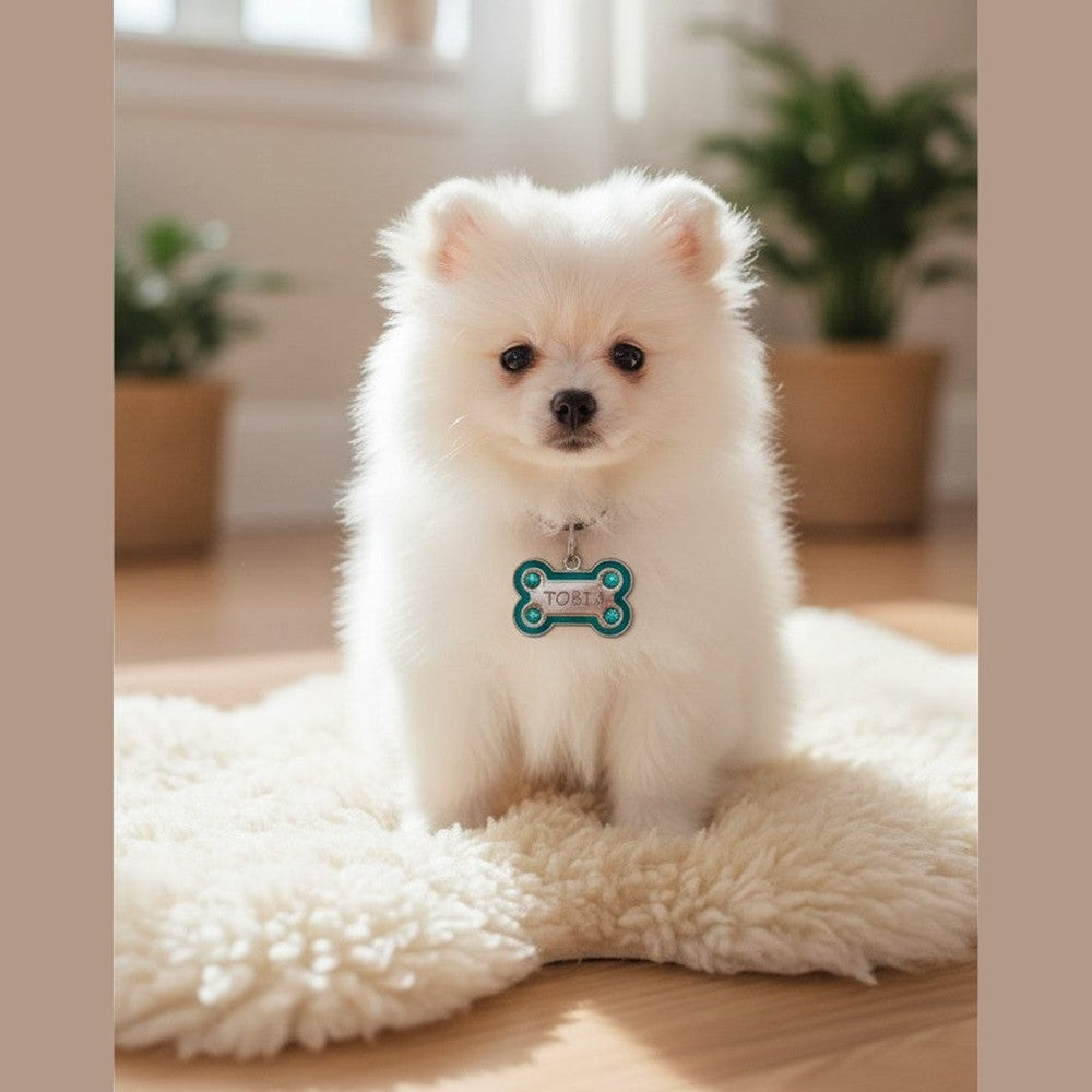 Medaglietta Identificativa Cani - Fashion Pet - Turchese rjthw8-is