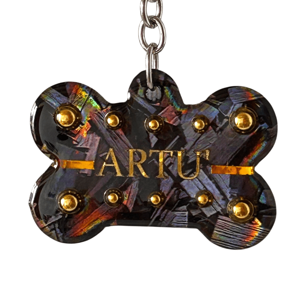 Medaglietta Identificativa Cani - Collezione Fashion Pet - Pirite rjthw8-is