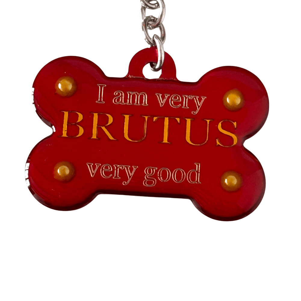 Medaglietta Identificativa Cani - Fashion Pet - My Love rjthw8-is