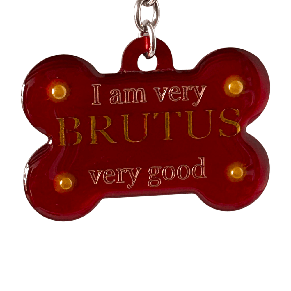 Medaglietta Identificativa Cani - Fashion Pet - My Love rjthw8-is