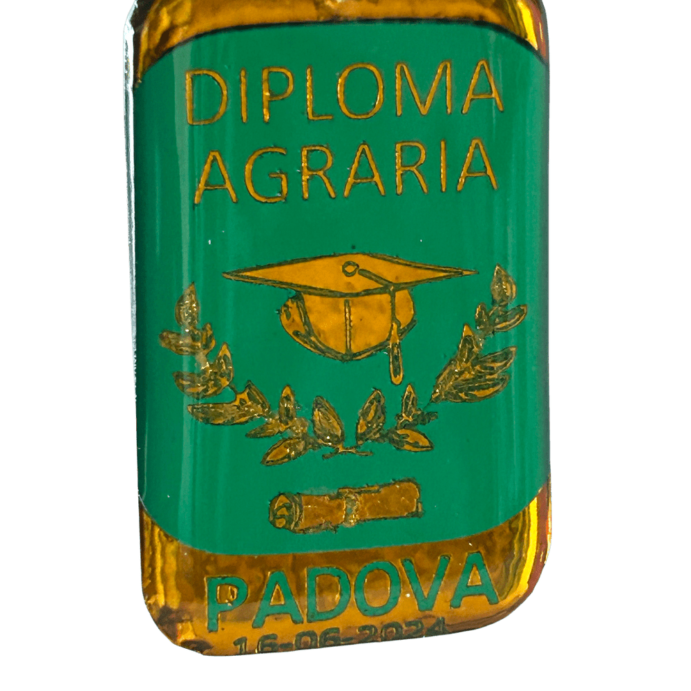Pendente Laurea Personalizzato - Ricordo Artigianale per un Traguardo Importante rjthw8-is