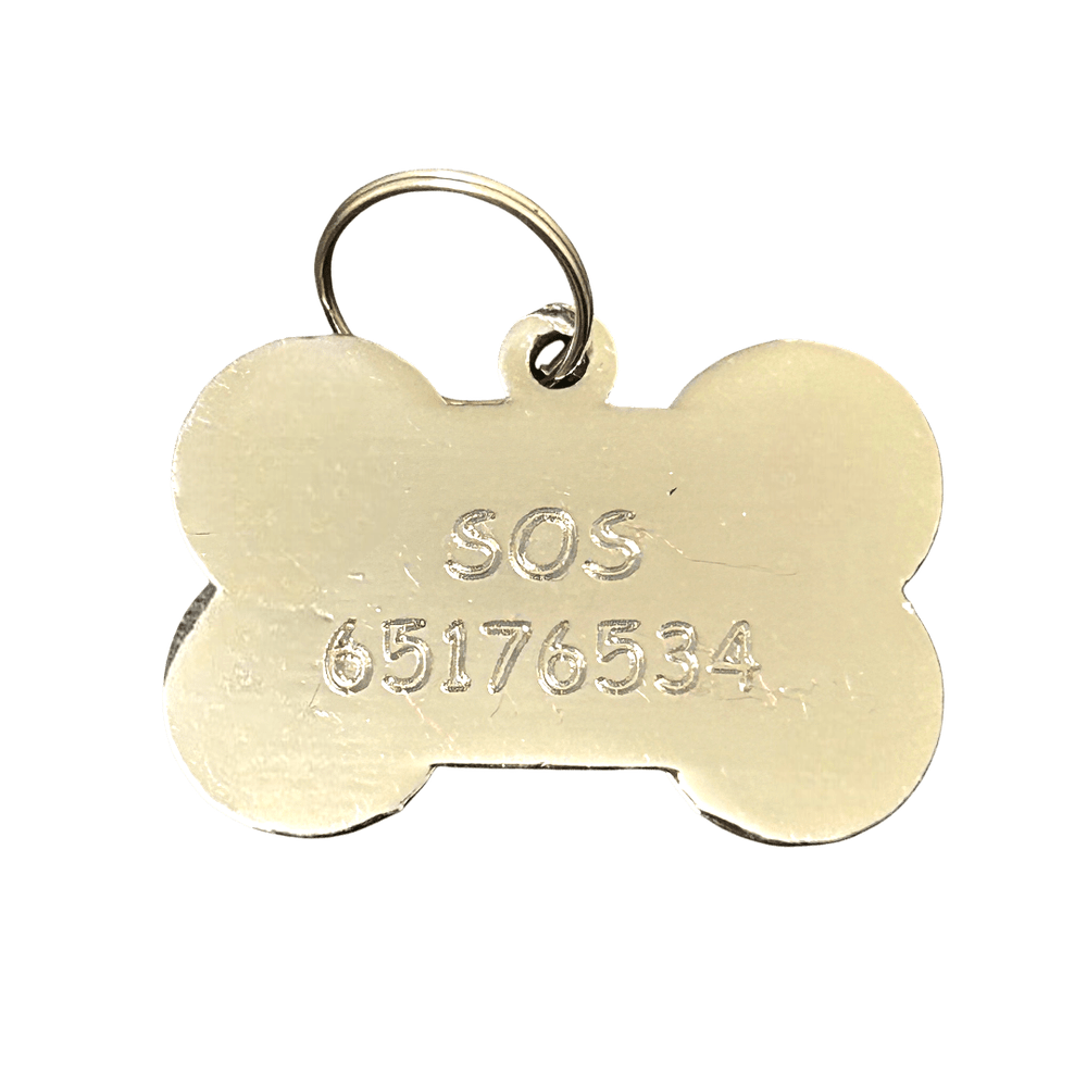 Medaglietta Identificativa Cani - Fashion Pet - Turchese rjthw8-is